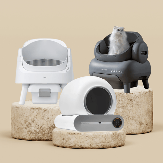 Les Meilleures Litières Automatiques 2026 | Comparatif et Guide d'Achat - Les Toilettes De Minette