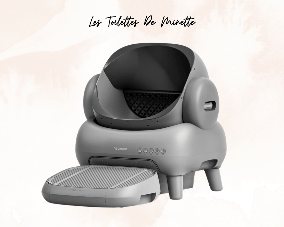 Zoom sur la Neakasa M1 