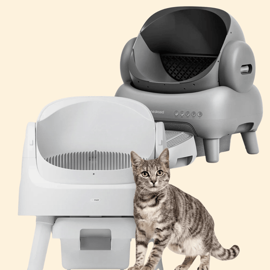 Pourquoi les litières automatiques ouverte sont idéales pour les grands chats ?