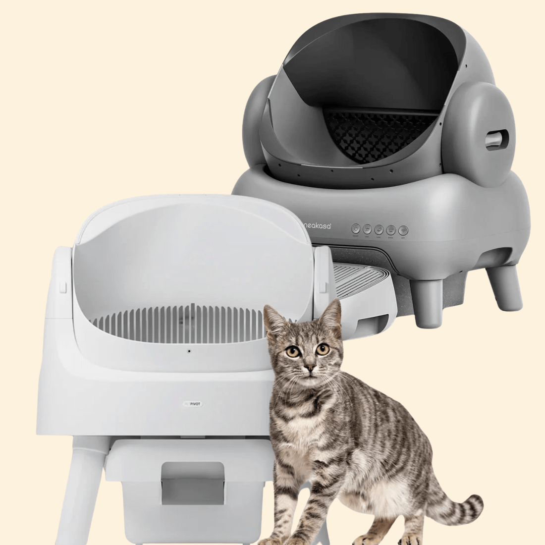 Pourquoi les litières automatiques à bac ouvert sont idéales pour les grands chats ?