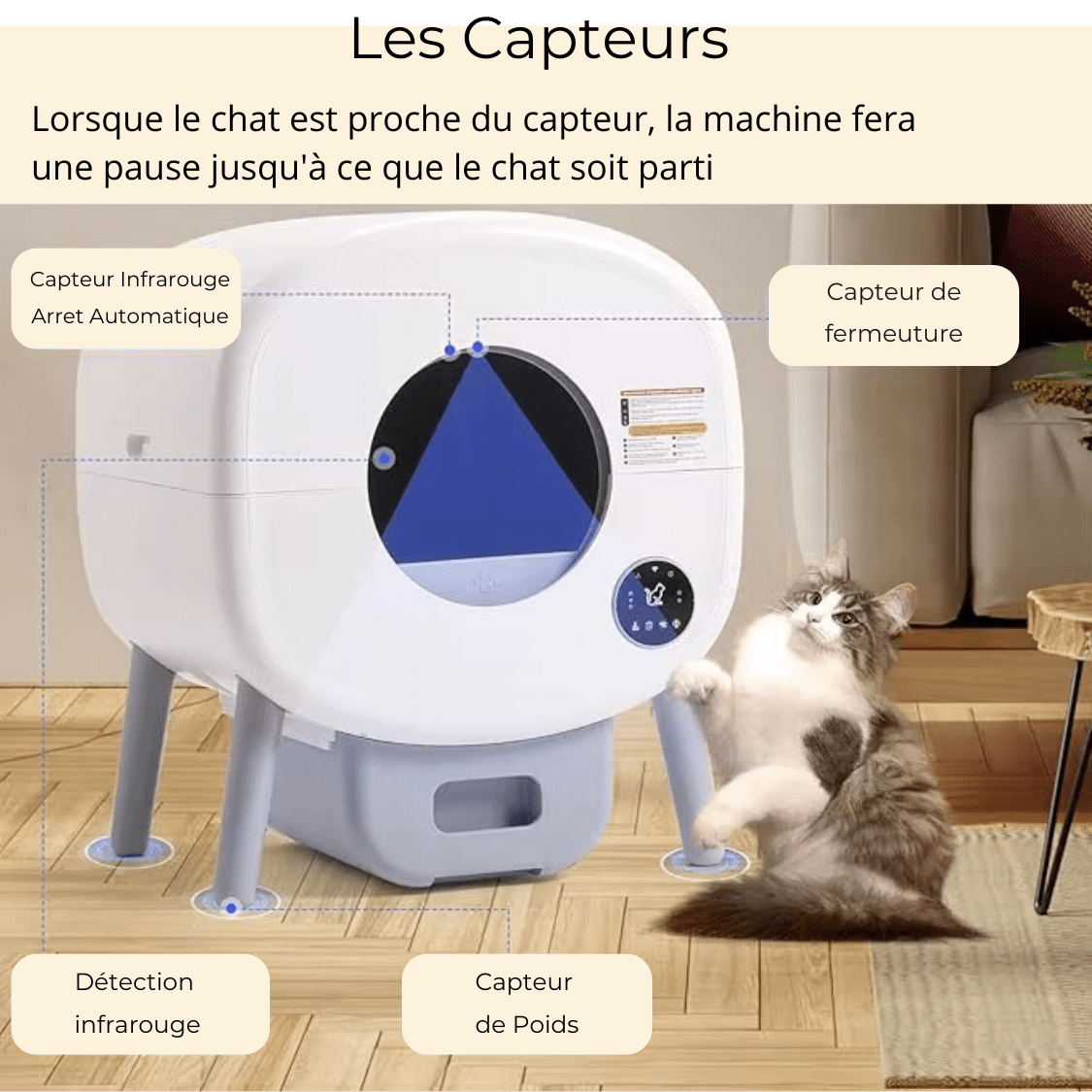 Litière Automatique BigPaw – Grande Capacité